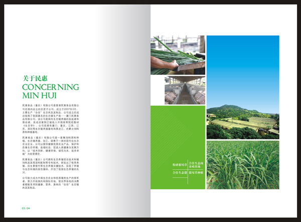 农产品画册设计,农业宣传册设计