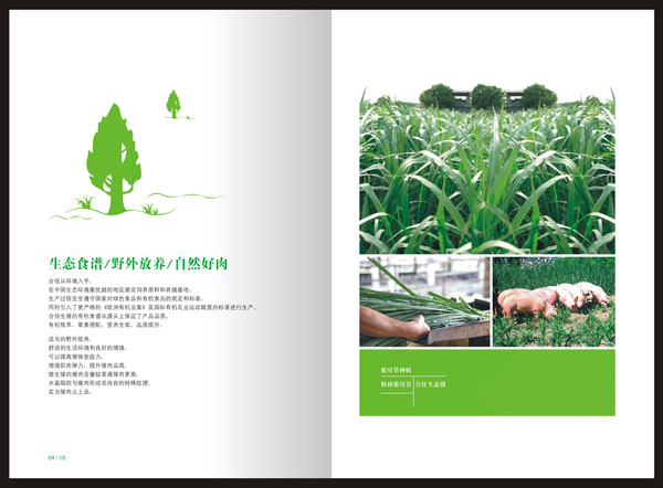 农产品画册设计,农业宣传册设计